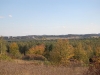 Wspinaczka w Łutowcu, październik 2007 - photo by Adam Majchrzak